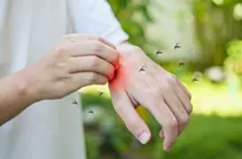 Mosquitoes control